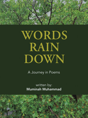 cover image of Words Rain  Down